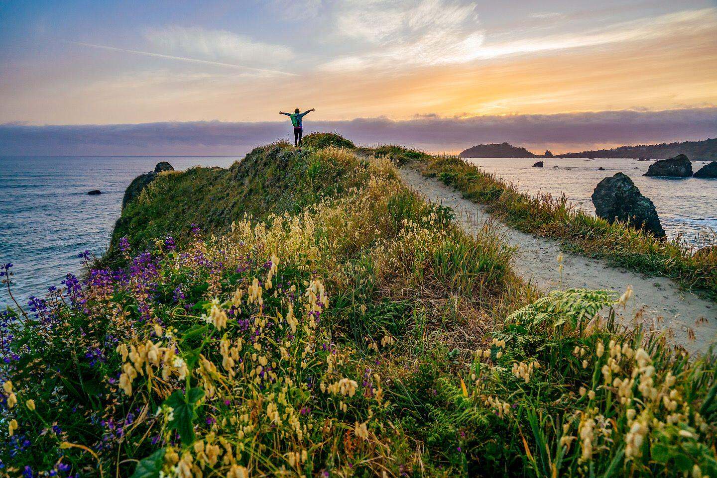 Person standing atop a flower-covered hill near the ocean.